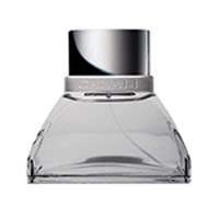 CANALI Winter Tale luxe Туалетная вода муж 100мл   
