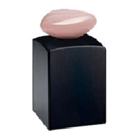 Giorgio Armani Prive Eclat de Jasmine 