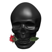 Ed Hardy Skulls & Roses 