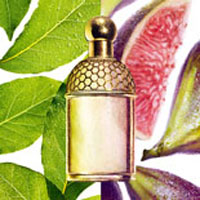 Guerlain Aqua Allegoria Figue Iris туалетная вода жен 125 мл