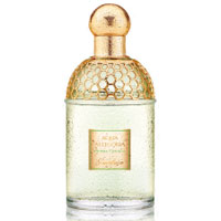 Guerlain Aqua Allegoria Herba Fresca 