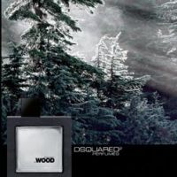 Dsquared2 He Wood Silver Wind Wood 