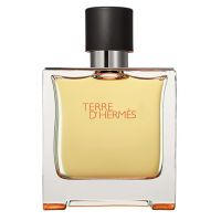 Hermes Terre D`Hermes 