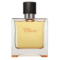 Hermes Terre D`Hermes 