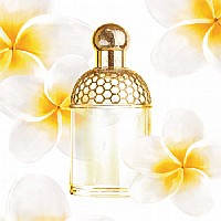 Guerlain Aqua Allegoria Tiare Mimosa 