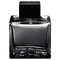 Antonio Banderas Seduction in Black 