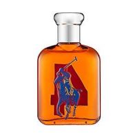 Ralph Lauren The Big Pony Collection Orange 4 