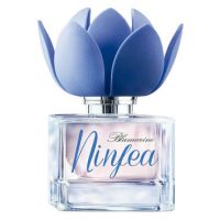 Изображения нет