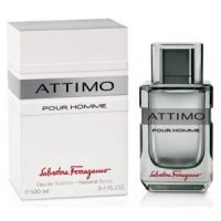 Salvatore Ferragamo Attimo Pour Homme 