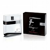 Salvatore Ferragamo F By Ferragamo Black 